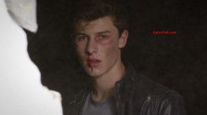 Stitches Lyrics - Shawn Mendes (Full Video)