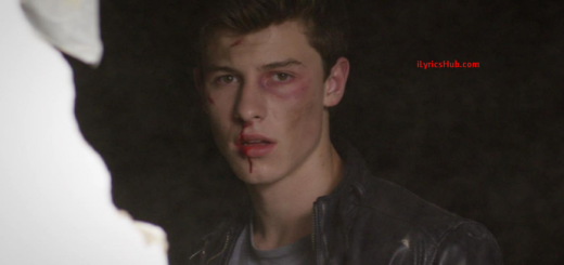 Stitches Lyrics - Shawn Mendes (Full Video)