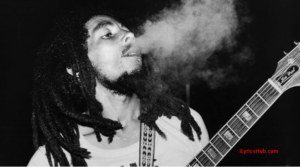 Ganja Gun Lyrics - Bob marley
