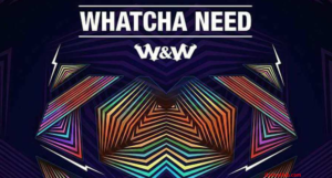 Whatcha Need Lyrics - W&W