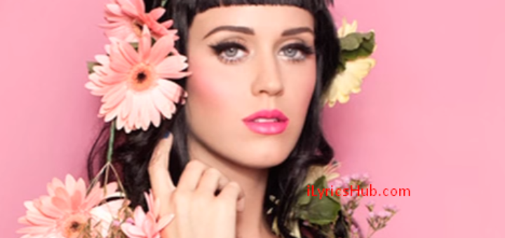 Not Like the Movies Lyrics - Katy Perry