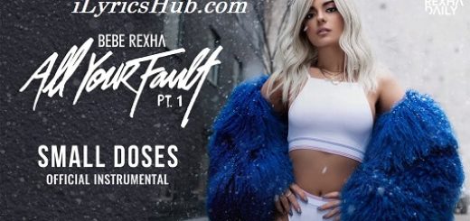 Small Doses Lyrics - Bebe Rexha