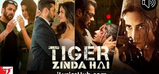 Zinda Hai Lyrics - Tiger Zinda Hai