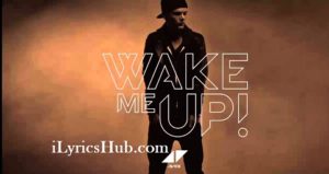 Wake Me Up Lyrics - Avicii