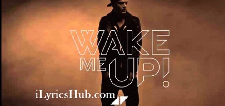 Wake Me Up Lyrics - Avicii