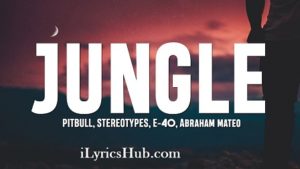 Jungle Lyrics - Pitbull, Stereotypes