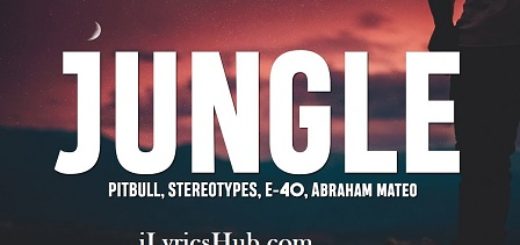 Jungle Lyrics - Pitbull, Stereotypes