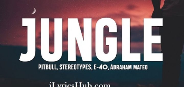 Jungle Lyrics - Pitbull, Stereotypes