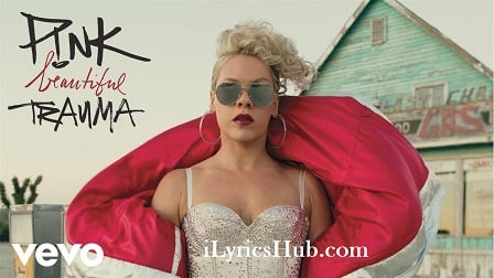 p nk - wild hearts can p nk - wild hearts can