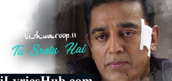 Tu Srotu Hai Lyrics - Vishwaroop 2 | Kamal Haasan