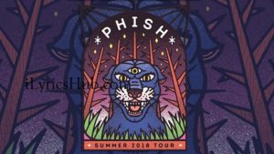 Phish Live in Raleigh