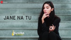 Jane Na Tu Lyrics - Ronit Vohra