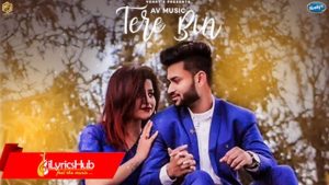 Tere Bin Lyrics Tarik Khan