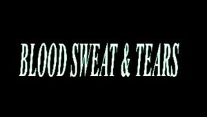 Blood, Sweat & Tears Lyrics Ava Max