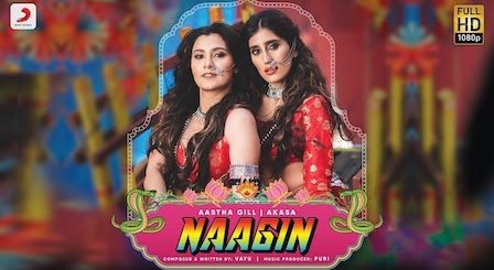 Naagin Lyrics Aastha Gill, Akasa