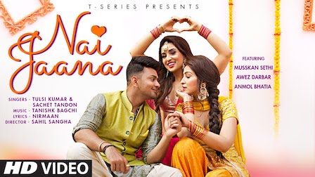 Nai Jaana Lyrics Tulsi Kumar x Sachet Tandon