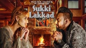 Sukki Lakkad Lyrics Master Saleem