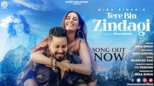 Tere Bin Zindagi Lyrics Mika Singh