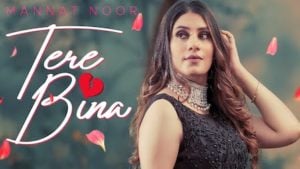 Tere Bina Lyrics Mannat Noor