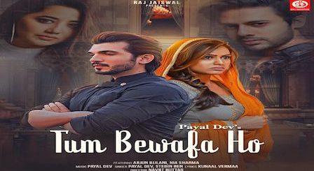 Tum Bewafa Ho Lyrics Payal Dev x Stebin Ben