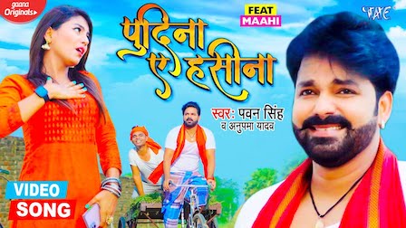 Pudina Ae Haseena Lyrics Pawan Singh