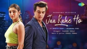 Jaa Rahe Ho Lyrics Yasser Desai | Mohsin Khan