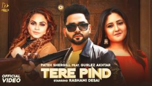 Tere Pind Lyrics Fateh Shergill