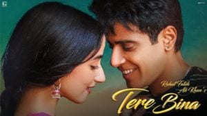 Tere Bina Lyrics Rahat Fateh Ali Khan | Lover