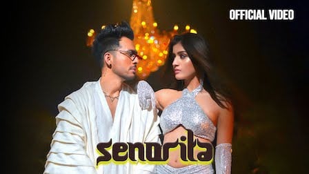 Senorita Lyrics Tony Kakkar