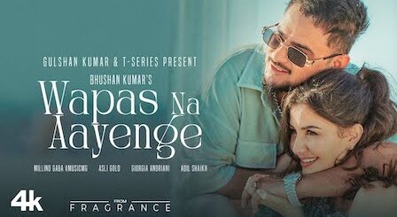 Wapas Na Aayenge Lyrics Millind Gaba