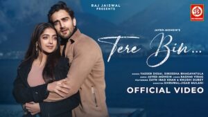 Tere Bin Lyrics Yasser Desai