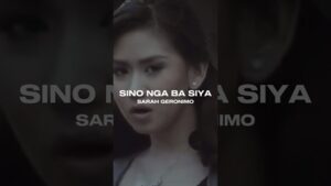 Di Ko Naisip Na Mawawala Ka Pa Lyrics - Sarah Geronimo